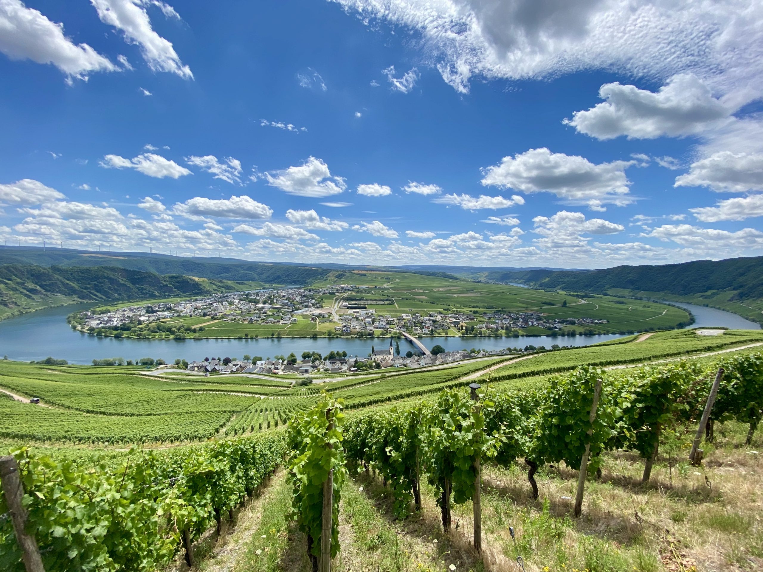 Schanz, Piesport/Mosel Chefsreporter